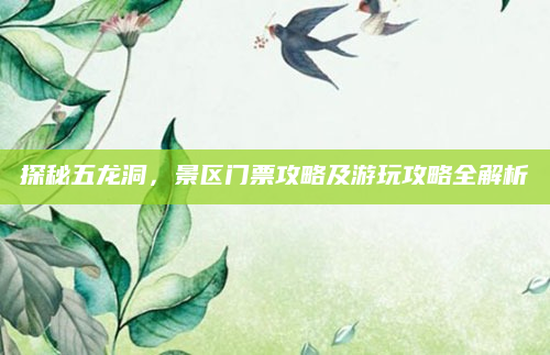 探秘五龙洞,景区门票攻略及游玩攻略全解析