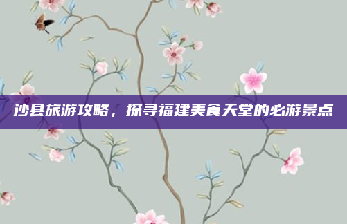沙县旅游攻略，探寻福建美食天堂的必游景点