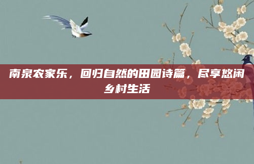 南泉农家乐，回归自然的田园诗篇，尽享悠闲乡村生活