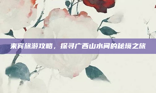 来宾旅游攻略，探寻广西山水间的秘境之旅