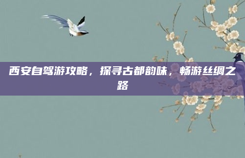 西安自驾游攻略，探寻古都韵味，畅游丝绸之路