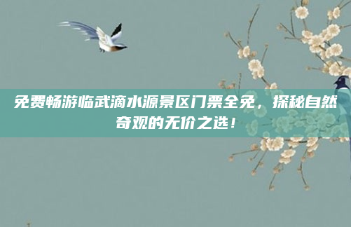 免费畅游临武滴水源景区门票全免，探秘自然奇观的无价之选！