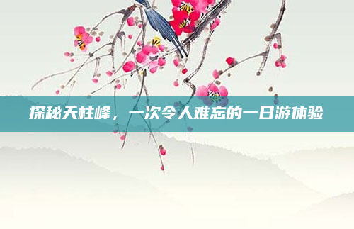 探秘天柱峰,一次令人难忘的一日游体验