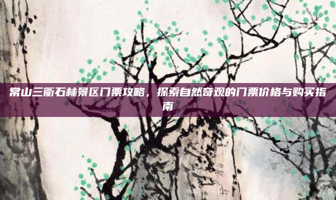 常山三衢石林景区门票攻略,探索自然奇观的门票价格与购买指南