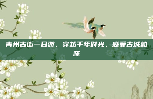 青州古街一日游,穿越千年时光,感受古城韵味