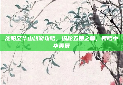 沈阳至华山旅游攻略,探秘五岳之尊,领略中华美景