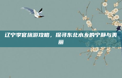 辽宁李官旅游攻略,探寻东北水乡的宁静与美丽
