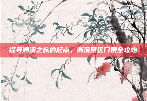 探寻溯溪之旅的起点,溯溪景区门票全攻略