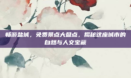畅游盐城,免费景点大盘点,揭秘这座城市的自然与人文宝藏