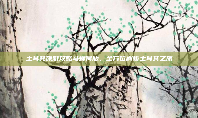 土耳其旅游攻略马蜂窝版，全方位解析土耳其之旅