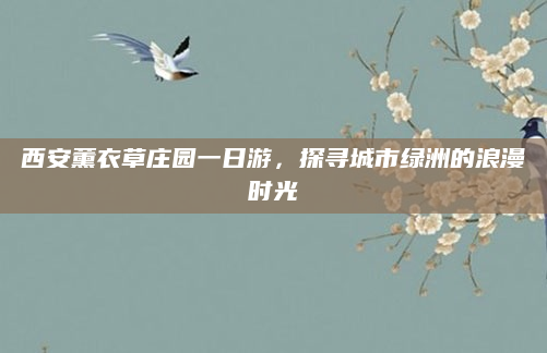 西安薰衣草庄园一日游,探寻城市绿洲的浪漫时光