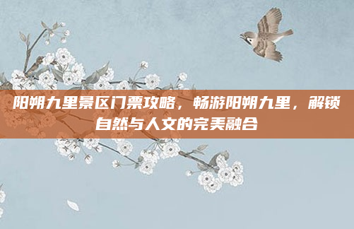 阳朔九里景区门票攻略,畅游阳朔九里,解锁自然与人文的完美融合