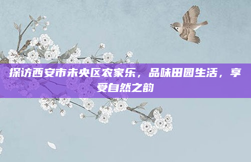探访西安市未央区农家乐,品味田园生活,享受自然之韵