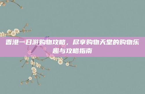 香港一日游购物攻略,尽享购物天堂的购物乐趣与攻略指南