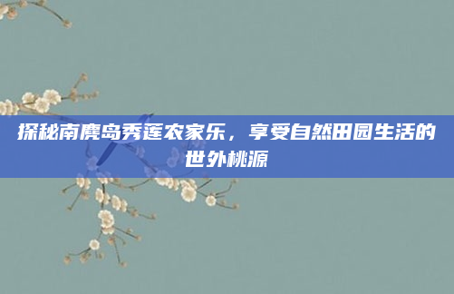 探秘南麂岛秀莲农家乐,享受自然田园生活的世外桃源