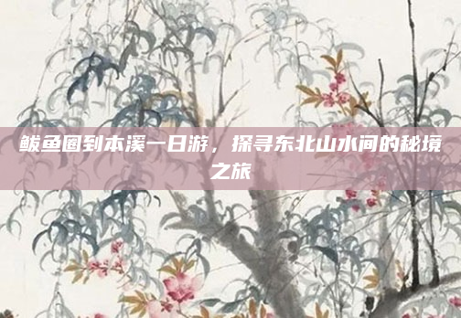鲅鱼圈到本溪一日游，探寻东北山水间的秘境之旅