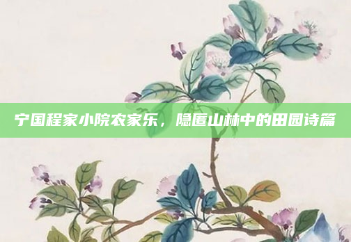 宁国程家小院农家乐,隐匿山林中的田园诗篇