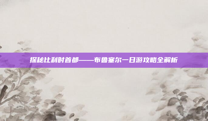 探秘比利时首都——布鲁塞尔一日游攻略全解析