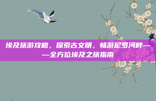 埃及旅游攻略,探索古文明,畅游尼罗河畔——全方位埃及之旅指南