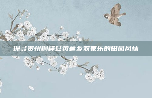 探寻贵州桐梓县黄莲乡农家乐的田园风情