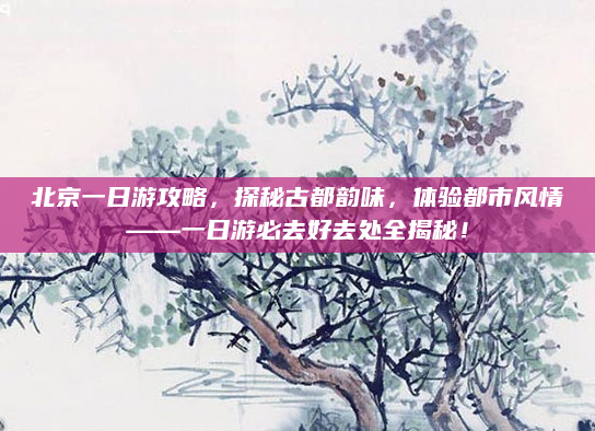 北京一日游攻略，探秘古都韵味，体验都市风情——一日游必去好去处全揭秘！