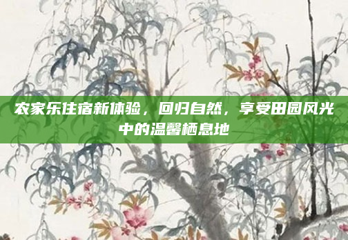 农家乐住宿新体验,回归自然,享受田园风光中的温馨栖息地
