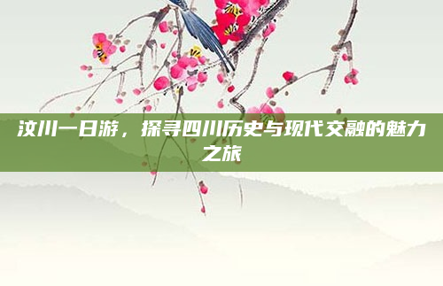 汶川一日游，探寻四川历史与现代交融的魅力之旅