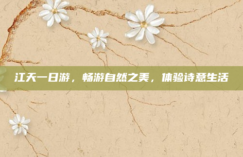 江天一日游,畅游自然之美,体验诗意生活