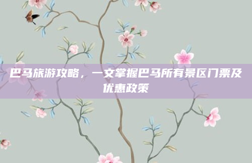 巴马旅游攻略,一文掌握巴马所有景区门票及优惠政策