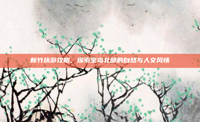 新竹旅游攻略,探索宝岛北部的自然与人文风情