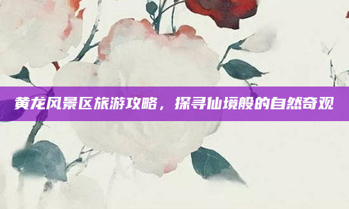 黄龙风景区旅游攻略,探寻仙境般的自然奇观