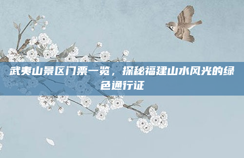 武夷山景区门票一览，探秘福建山水风光的绿色通行证