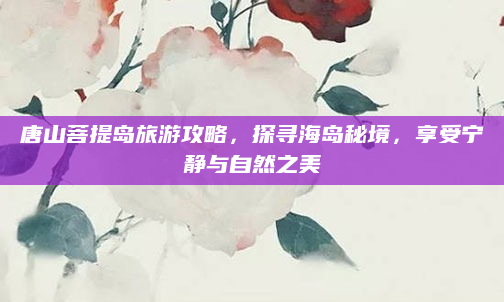 唐山菩提岛旅游攻略,探寻海岛秘境,享受宁静与自然之美