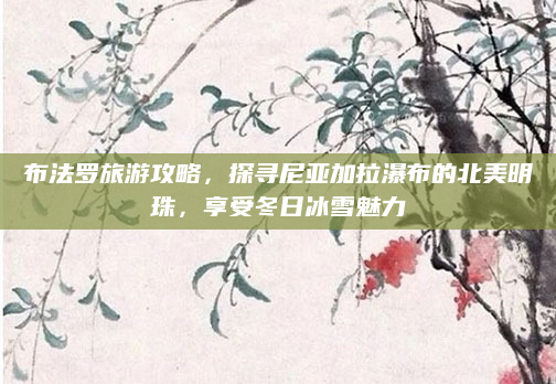 布法罗旅游攻略,探寻尼亚加拉瀑布的北美明珠,享受冬日冰雪魅力