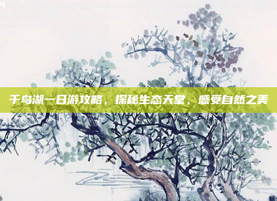 千鸟湖一日游攻略,探秘生态天堂,感受自然之美