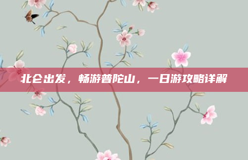 北仑出发,畅游普陀山,一日游攻略详解