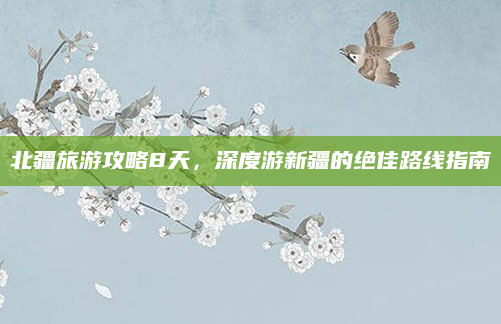 北疆旅游攻略8天，深度游新疆的绝佳路线指南