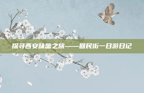 探寻西安味蕾之旅——回民街一日游日记