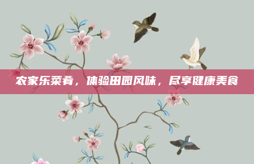 农家乐菜肴,体验田园风味,尽享健康美食