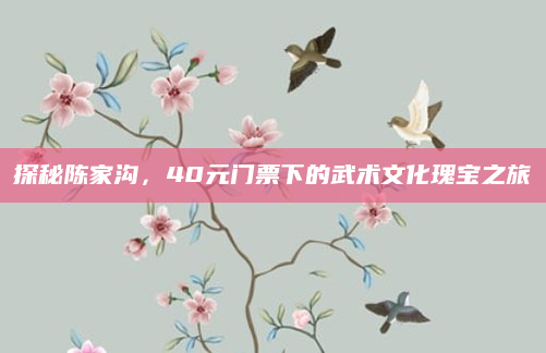 探秘陈家沟,40元门票下的武术文化瑰宝之旅