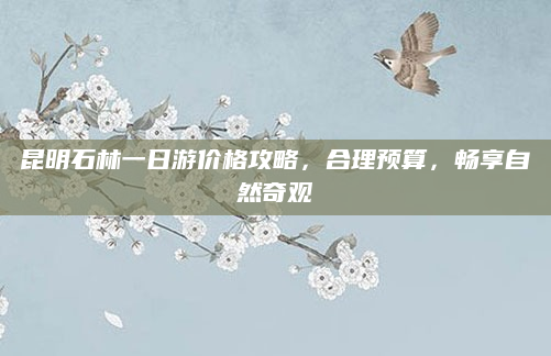 昆明石林一日游价格攻略,合理预算,畅享自然奇观