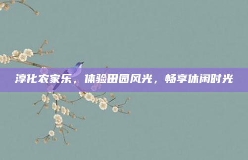淳化农家乐,体验田园风光,畅享休闲时光
