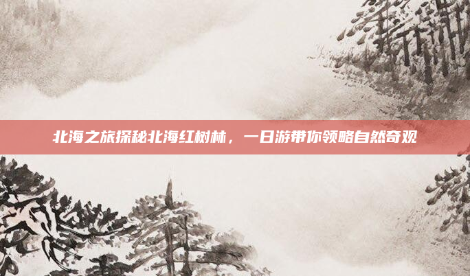北海之旅探秘北海红树林，一日游带你领略自然奇观