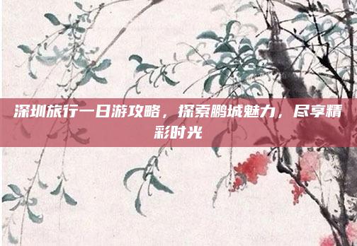 深圳旅行一日游攻略,探索鹏城魅力,尽享精彩时光