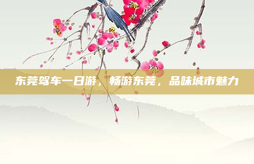 东莞驾车一日游,畅游东莞,品味城市魅力