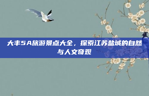 大丰5A旅游景点大全,探索江苏盐城的自然与人文奇观