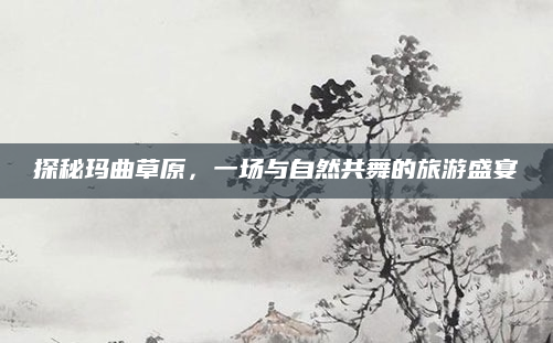 探秘玛曲草原，一场与自然共舞的旅游盛宴