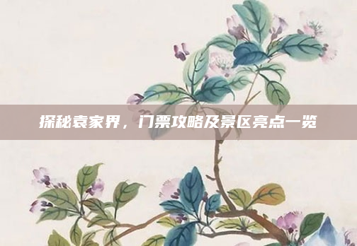探秘袁家界,门票攻略及景区亮点一览