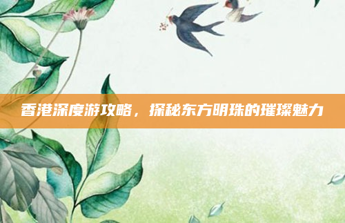 香港深度游攻略，探秘东方明珠的璀璨魅力