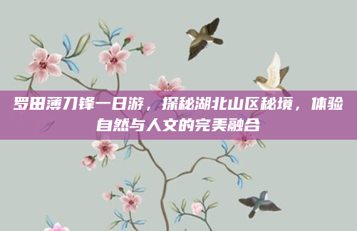 罗田薄刀锋一日游,探秘湖北山区秘境,体验自然与人文的完美融合